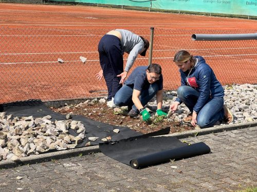 WhatsApp-Image-2026-04-14-at-23.56.17-1